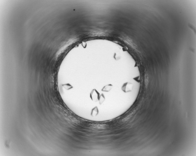 X0000100231309200806271741
