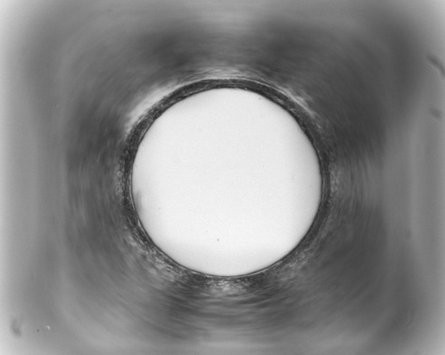 X0000100231311200806271741