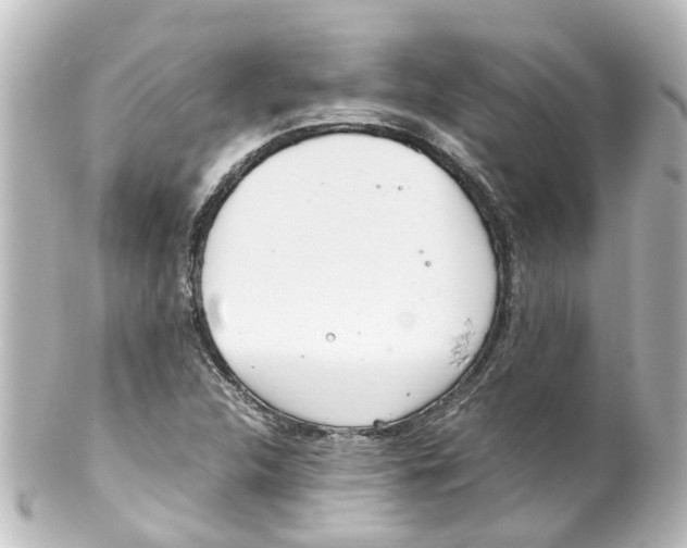 X0000100231312200806271741