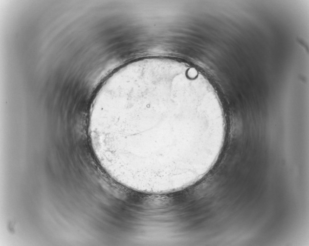 X0000100231314200806271741