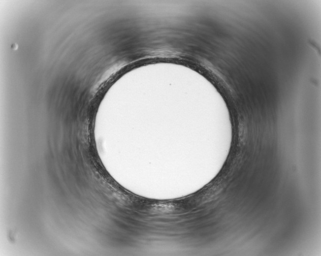 X0000100231315200806271741