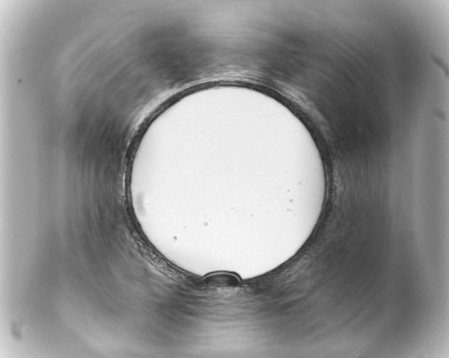 X0000100231316200806271741