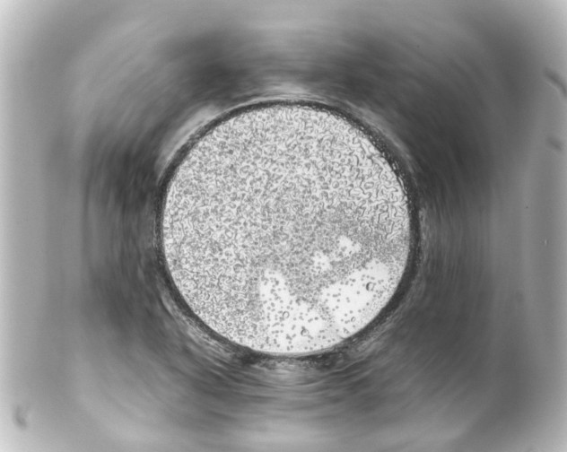 X0000100231318200806271741