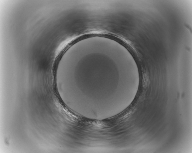 X0000100231319200806271741