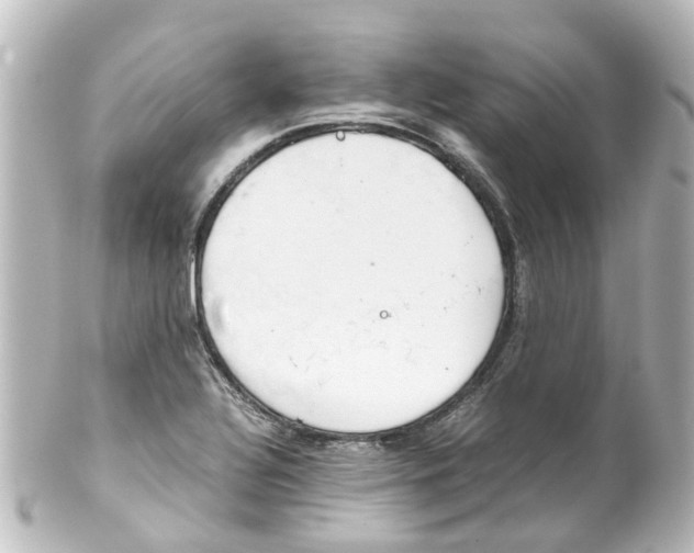 X0000100231320200806271741