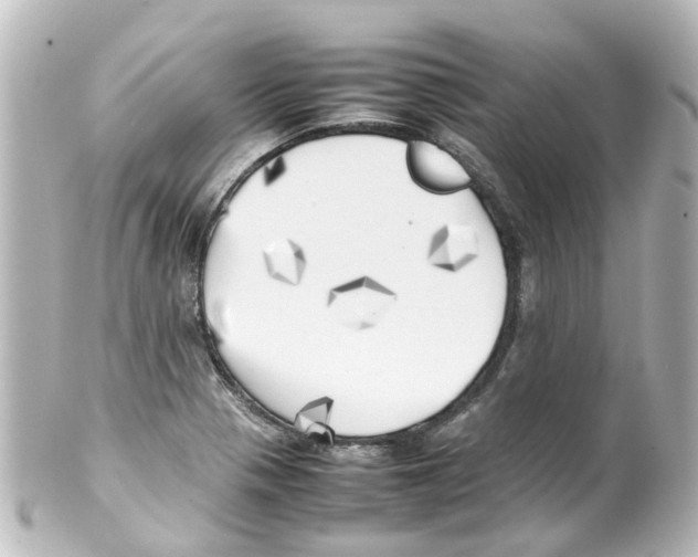 X0000100231321200806271741