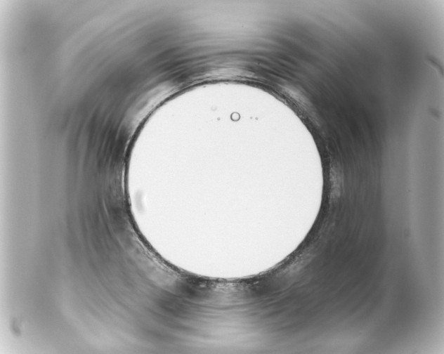 X0000100231322200806271741