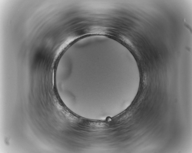 X0000100231323200806271741