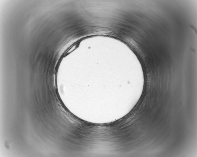X0000100231324200806271741