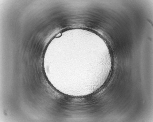 X0000100231325200806271741