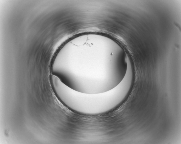 X0000100231326200806271741