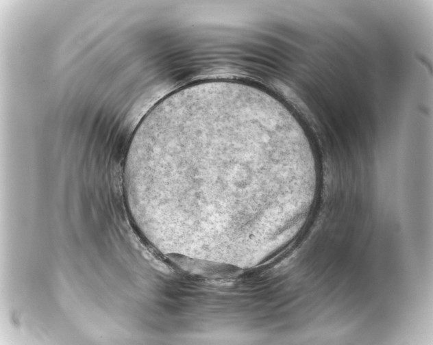 X0000100231329200806271741