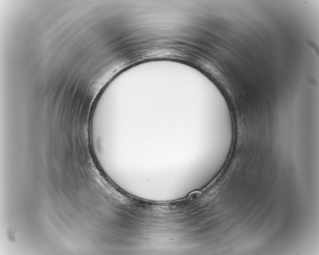 X0000100231330200806271741