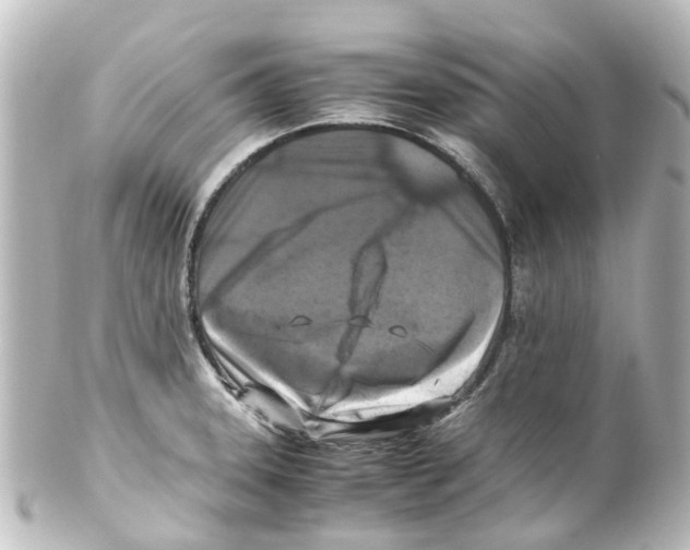 X0000100231331200806271741