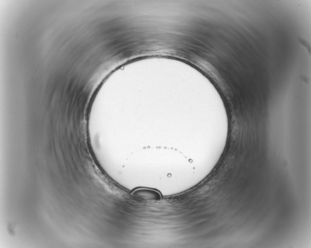 X0000100231332200806271741