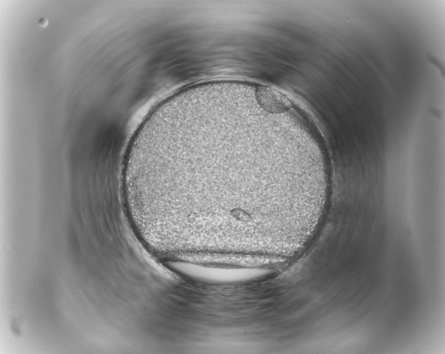 X0000100231333200806271741