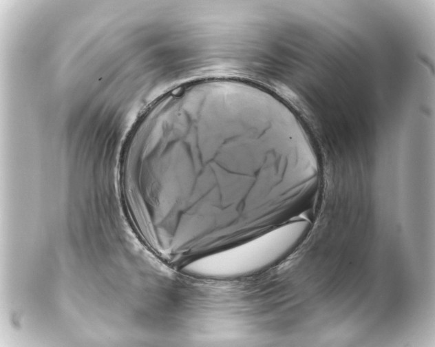 X0000100231334200806271741