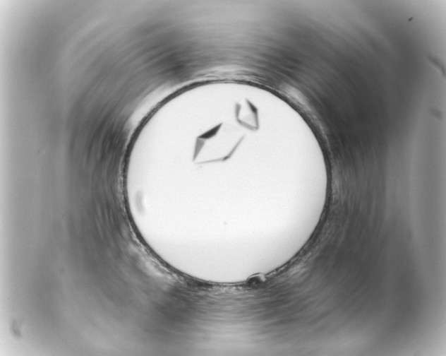 X0000100231336200806271741