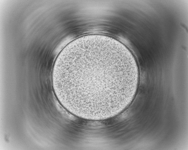 X0000100231338200806271741