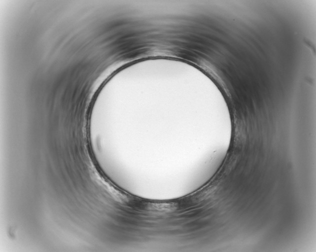 X0000100231339200806271741