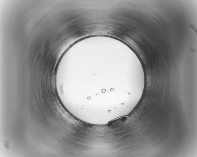 X0000100231340200806271741