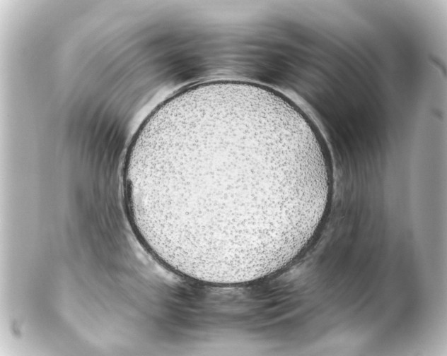 X0000100231341200806271741
