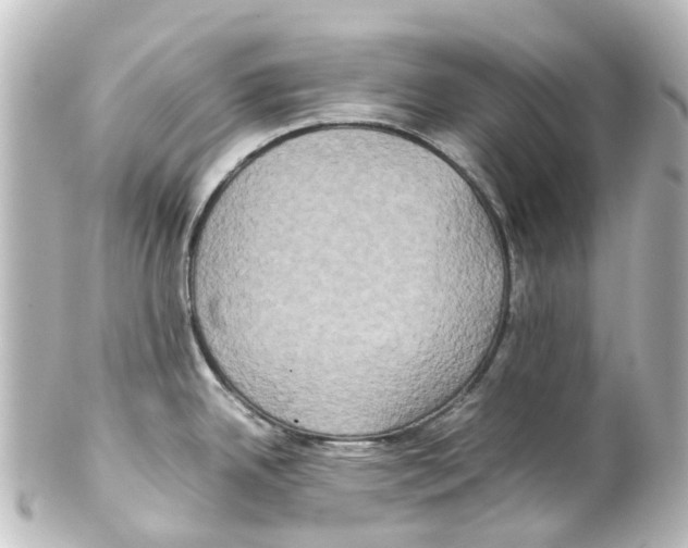 X0000100231342200806271741
