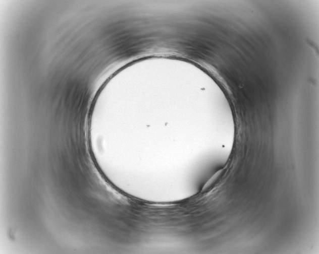 X0000100231343200806271741