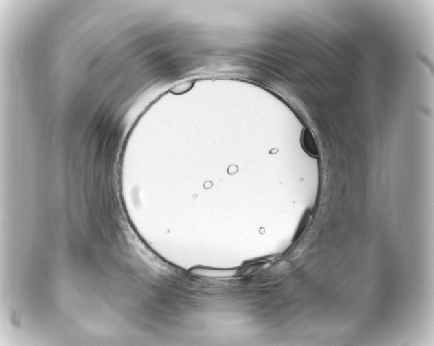 X0000100231344200806271741