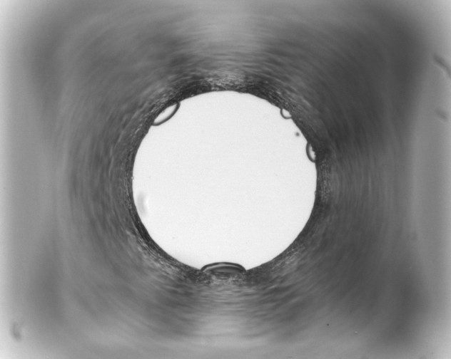 X0000100231345200806271741