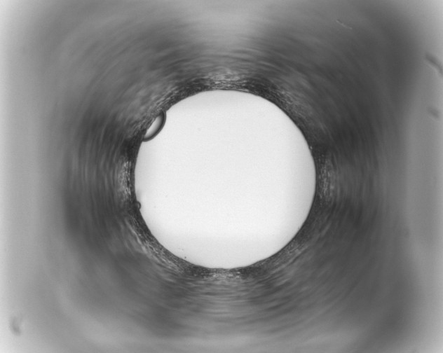 X0000100231346200806271740