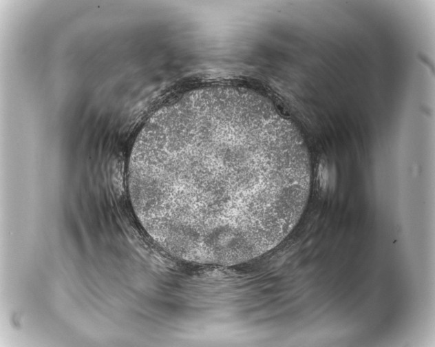X0000100231348200806271740