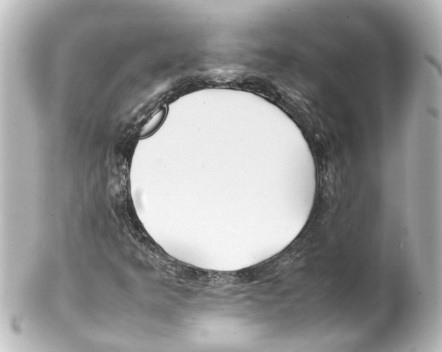 X0000100231349200806271740