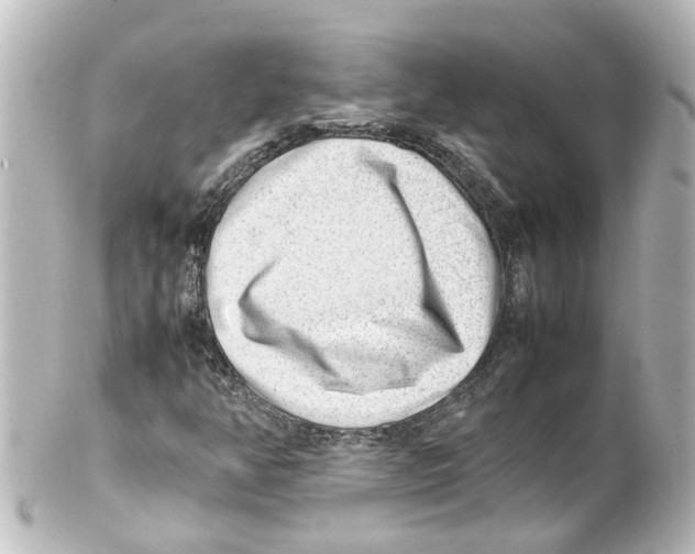 X0000100231350200806271740