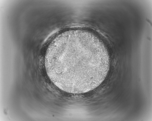 X0000100231351200806271740