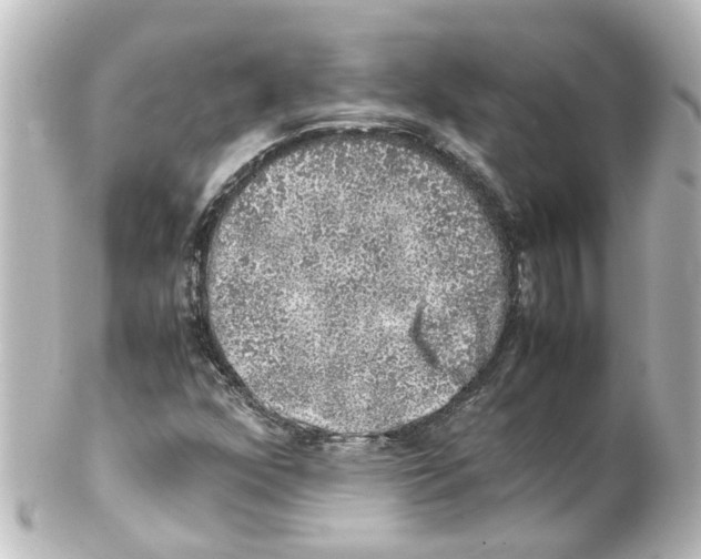 X0000100231352200806271740