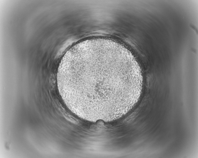 X0000100231355200806271740