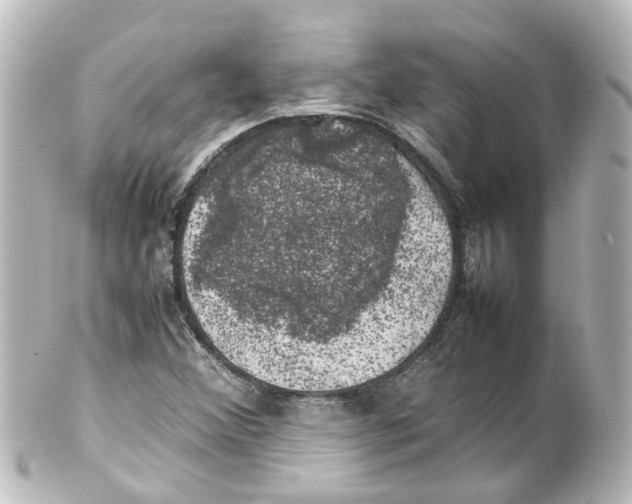 X0000100231356200806271740