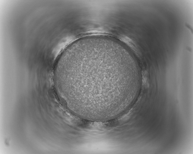 X0000100231357200806271740