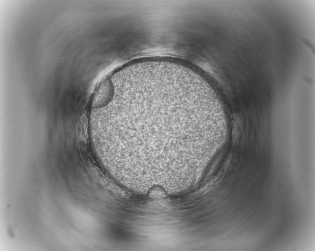 X0000100231358200806271740