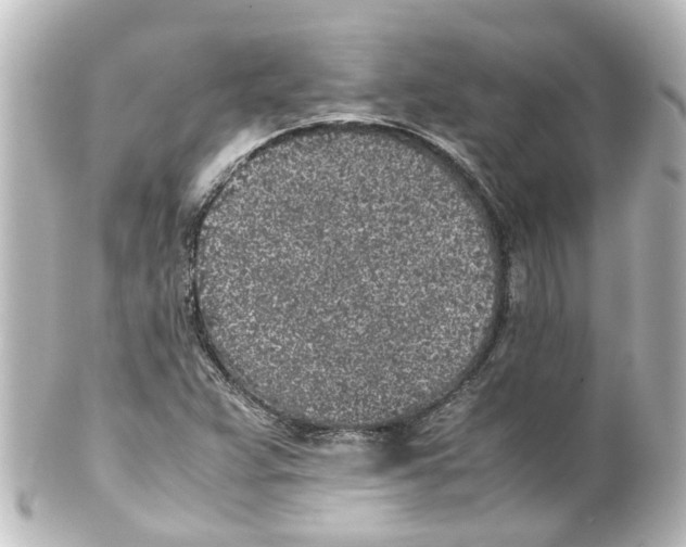 X0000100231359200806271740