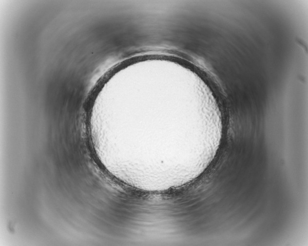 X0000100231360200806271740