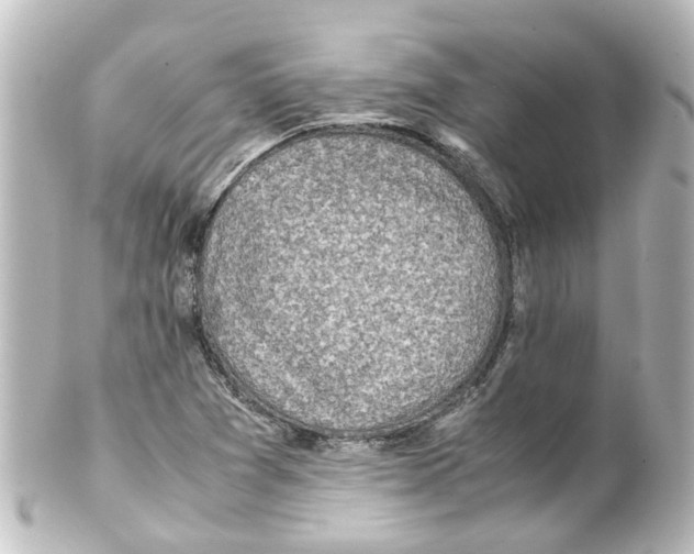 X0000100231361200806271740