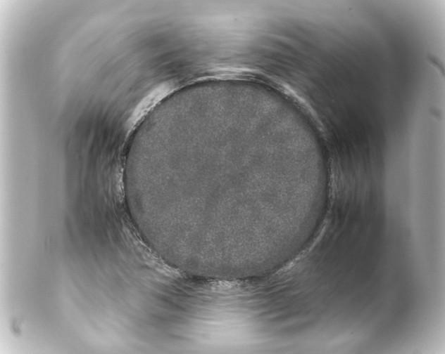X0000100231362200806271740