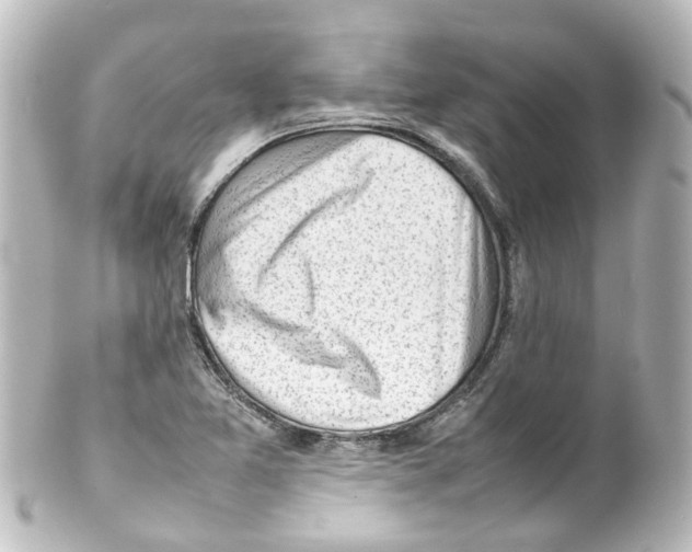 X0000100231365200806271740