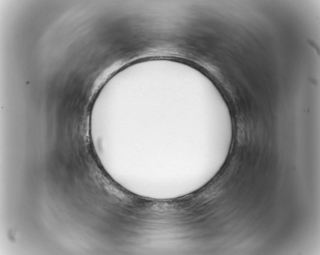 X0000100231366200806271740