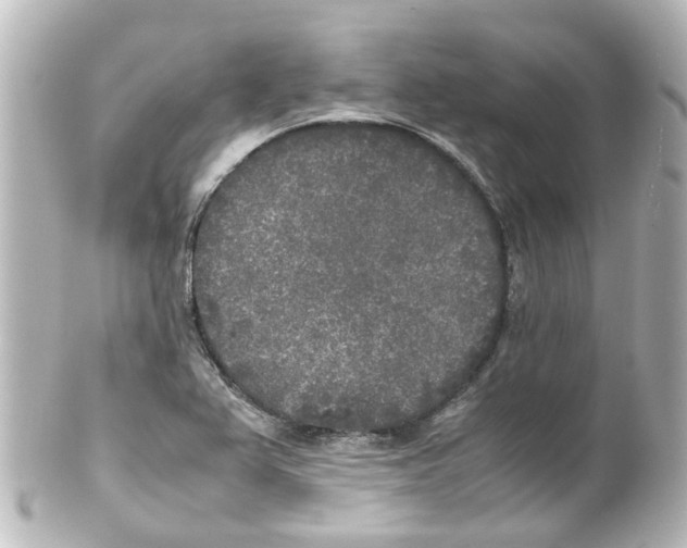 X0000100231367200806271740