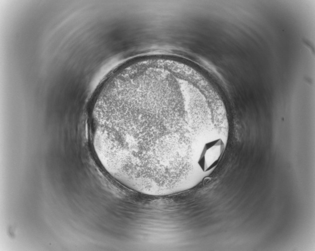 X0000100231368200806271740