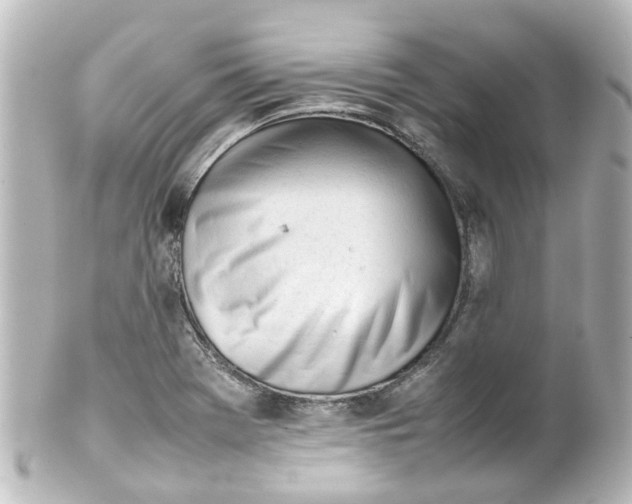 X0000100231369200806271740