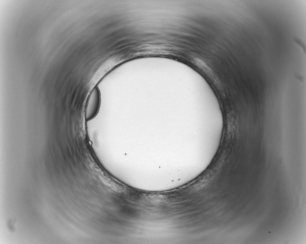 X0000100231370200806271740